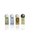 IBRAQ MUSK OIL BOX 4 PCS